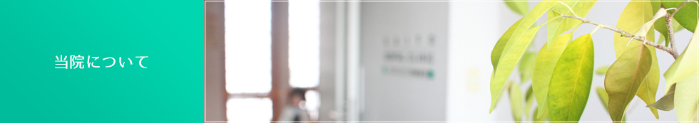 当院について
